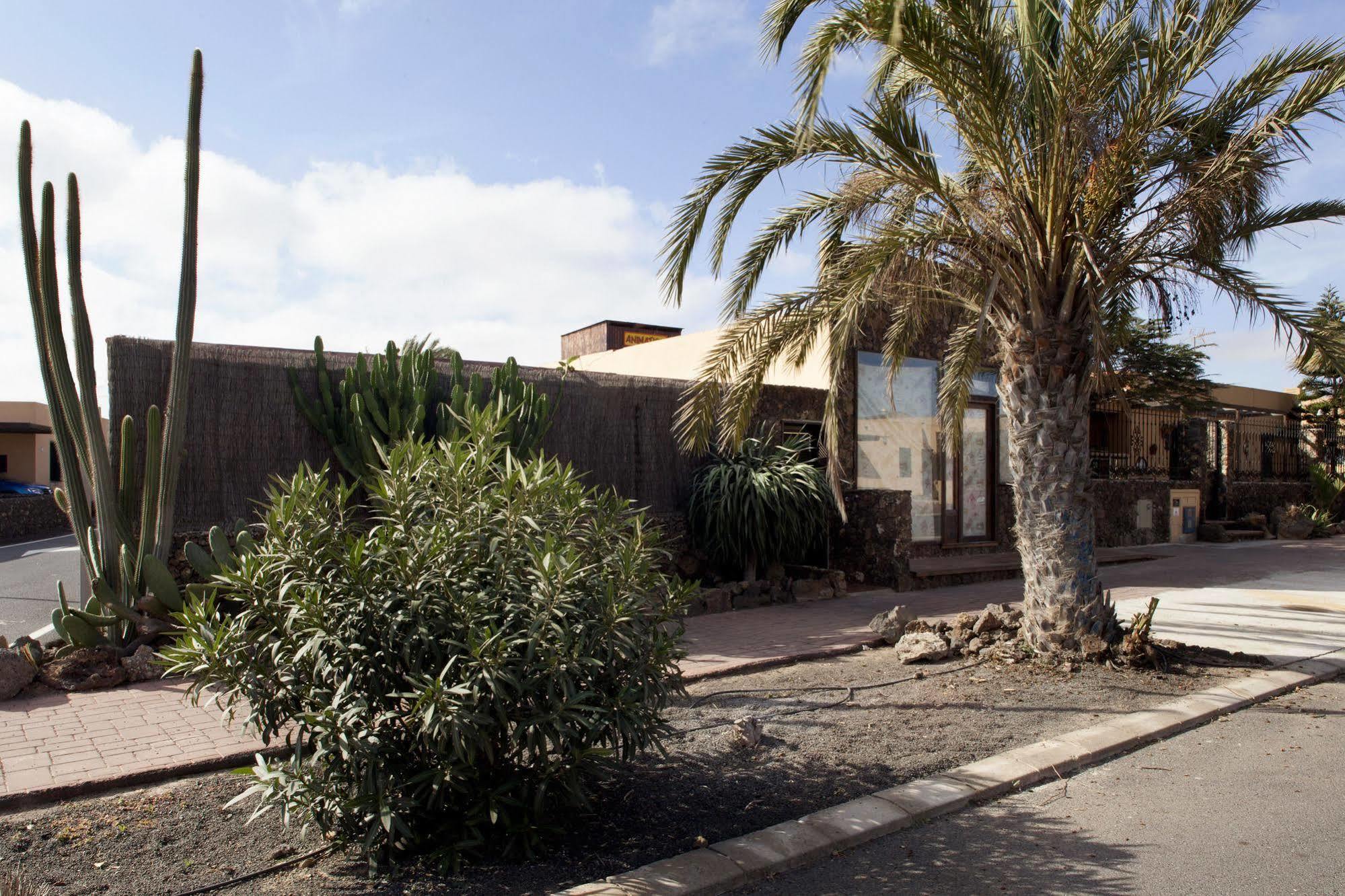 Apartamentos Laurisilva Corralejo Extérieur photo