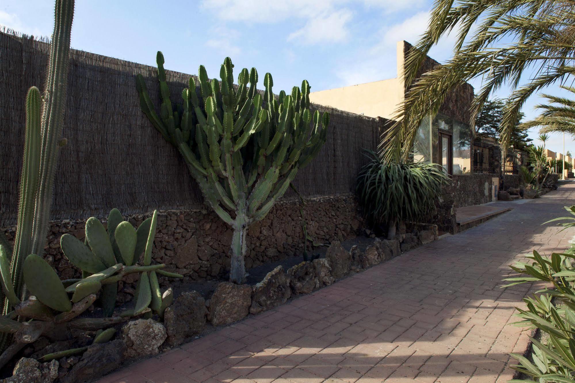 Apartamentos Laurisilva Corralejo Extérieur photo